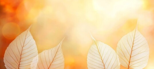 Fototapeta premium Abstract Blurred Soft Gradient in Autumn Orange Shades with Floating Transparent Ghostly Leaves