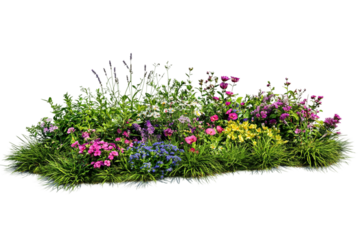 Vibrant garden patch covered with healthy green grass isolated on transparent background