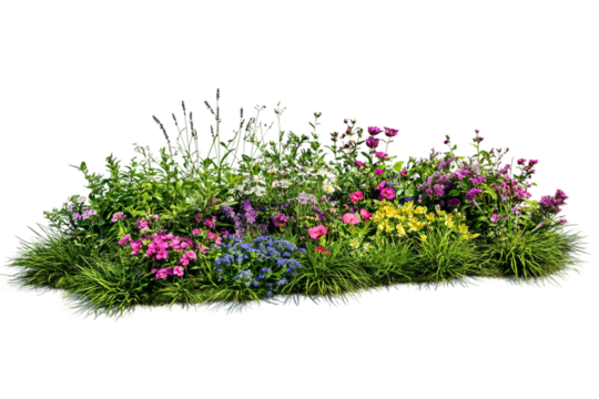 Vibrant garden patch covered with healthy green grass isolated on transparent background