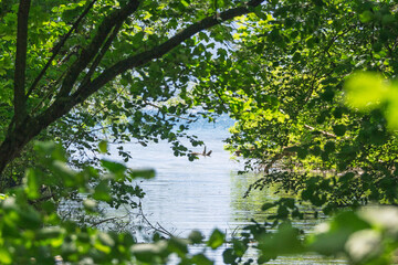 La rivière Le Boiron à l’embouchure du lac Léman
