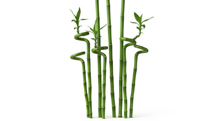 Fototapeta premium Decorative green bamboo stalks creating a natural, peaceful arrangement on an isolated transparent background.