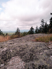 A view from the Wapack Trail in Southern New Hampshire. The photo is looking towards Mount Monadnock in the distance between the trees. Grasses and spruce trees grow on the ridgeline.