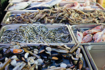 Fresh fish and seafood at market. Assortment of fish and shellfish displayed at local seafood...