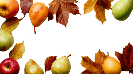 Autumn fruits and leaves arranged on a beautiful dark background.