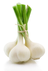 New garlics isolated on white background