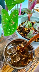 Refreshing iced tea served in a chilled glass, featuring a deep amber hue and a light citrus garnish. Perfect for a cooling and revitalizing drink on warm days.