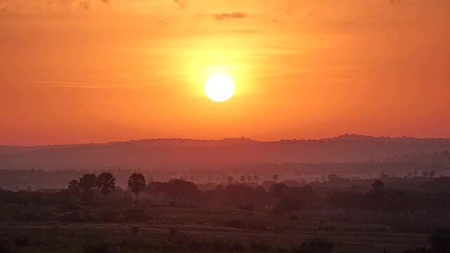  Sunset in the African jungle on a very sunny day