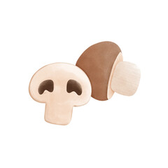 Mushroom Illustration