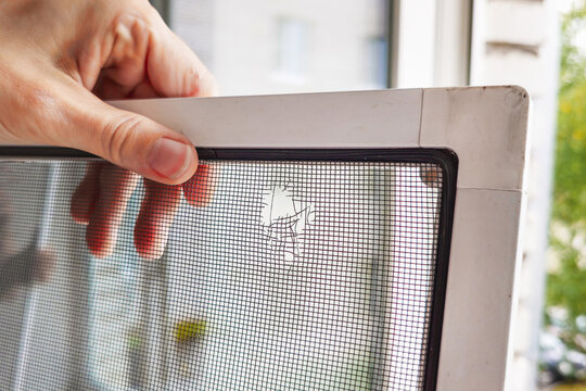 mosquito net on the window has a hole due