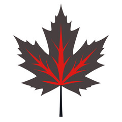 Single leaf silhouette on white background