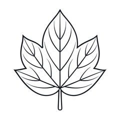 Simple palmate leaf outline on white background