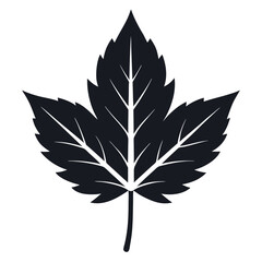 Single palmate leaf silhouette on white background