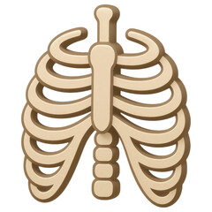 Anatomical Illustration of Human Ribcage in Flat Design Style