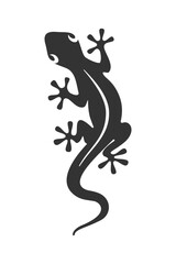 Lizard graphic icon. Lizard sign isolated on white background. Vector illustration