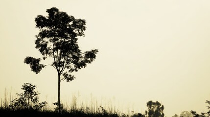 Abstract natural symbol with tree and space, suitable for meditation apps or wellness content.