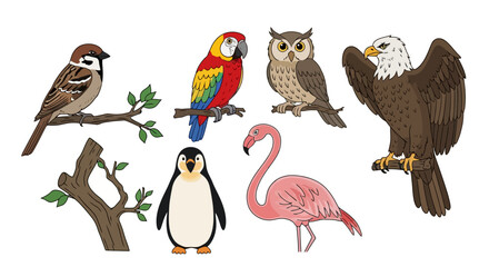Naklejka premium Diverse bird species illustration featuring sparrow, macaw, owl, eagle, penguin, and flamingo, ideal for educational resources and nature related designs