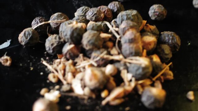 Aritha (Sapindus mukorossi) Soapnut on Black Surface HD &ndash; Ayurvedic Herb, Organic Hair Cleanser, Natural Shampoo Ingredient, Skincare and Haircare Beauty Product with Glossy Seeds and Herbal Texture