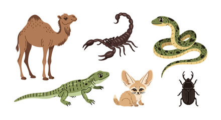 Desert wildlife animal vector illustration. Suitable for educational materials, wildlife conservation designs, and ecological presentations.