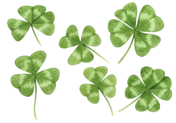 Watercolor Illustration of Green Clovers on a Transparent Background