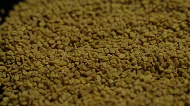 Fenugreek is a beneficial food for diabetes.
