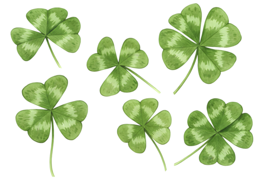 Watercolor Illustration of Green Clovers on a Transparent Background