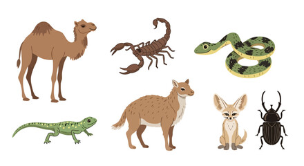 Desert animal illustrations showcasing arid wildlife species for educational resources and children's books, perfect for biology lessons and nature-themed projects.