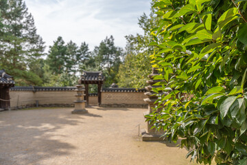 Bright green leaves fill the foreground of a traditional courtyard. Stone lanterns and gates add cultural charm.