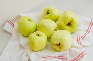 Organic green Antonovka apples from farm in a plate on natural stone countertop
