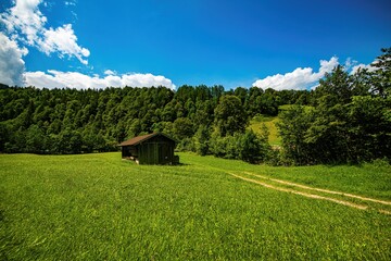 rural landscape with a house