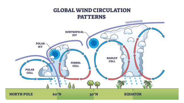 Global wind circulation patterns show the movement of air in Hadley, Ferrel, and Polar cells with arrows and jet streams. Outline diagram