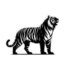 Wild Tiger Face Vector Illustration – Fierce Jungle Predator Art