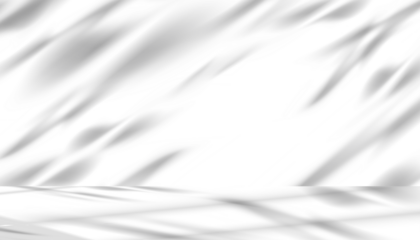 White Background,Shadow and light from window studio for Product display,Minimal abstract grey shadows overlay on wall room,Soft nature tree shadows texture surface, isolated Branches leaves.