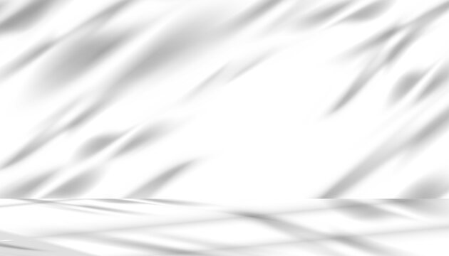 White Background,Shadow and light from window studio for Product display,Minimal abstract grey shadows overlay on wall room,Soft nature tree shadows texture surface, isolated Branches leaves. - Powered by Adobe