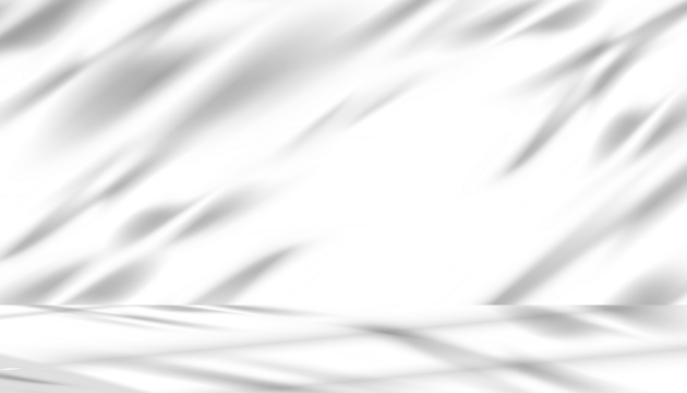 White Background,Shadow and light from window studio for Product display,Minimal abstract grey shadows overlay on wall room,Soft nature tree shadows texture surface, isolated Branches leaves.