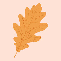 Fototapeta premium Vector illustration of autumn oak tree leaf in yellow and orange colours on a light beige background.