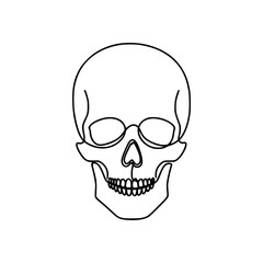 Fototapeta premium Simplified Skull Outline