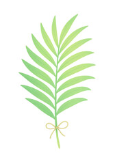 Fototapeta premium Palm Grain Gradient Mini Leaf PNG Transparent Botanical Clipart Tropical Greenery Minimal Wedding Invitation Branding