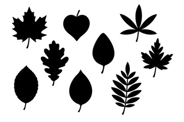 Autumn Leaf Collection silhouettes