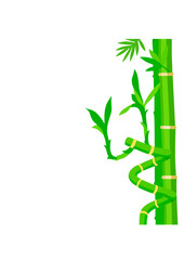 Realistic Spiral Bamboo Vector with Green Leaves