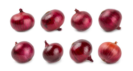 Shallot onion isolated on white background. onion slice. onion rings. Fresh red Onion. Natural, fresh, vegetarian food. Agricultural products. Healthy eating. Vegetables. Farmer's market.