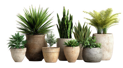 Obraz premium Collection of Potted Plants in Textured Beige and Gray Pots