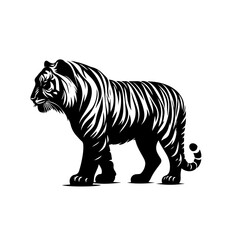 Aggressive Tiger Vector Illustration – Wild Jungle Predator Art