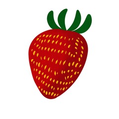 Fresh Red Strawberry Illustration Isolated on White Background Vector Fruit Design