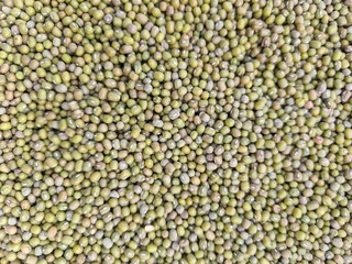 Texture of small dried green bean seeds, green bean grains background