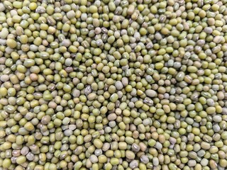 Texture of small dried green bean seeds, green bean grains background