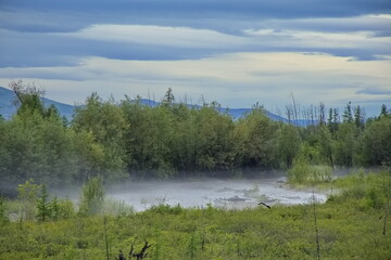 Fog over the river in the Yakut taiga.