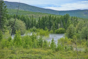 Fog over the river in the Yakut taiga.
