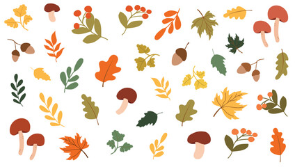 A set of autumn leaves and mushrooms. A simple set of leaves from different trees. An autumn set of cute and cozy hand-drawn design elements. Autumn, Thanksgiving, fall season.
