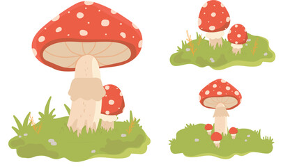 An illustration with red and white spotted mushrooms on a grass background. A set of vector mushrooms.