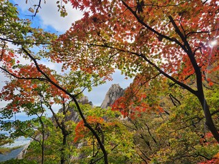 bukhansan national park, dobong mountain, korea